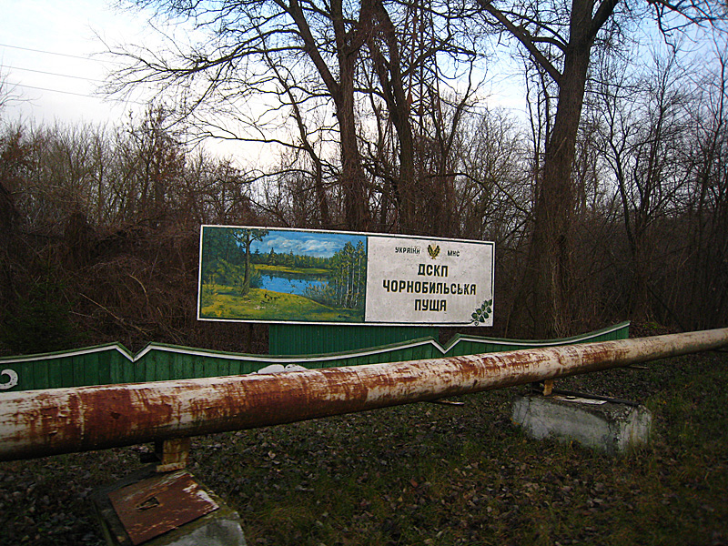 Down to the boatyard.