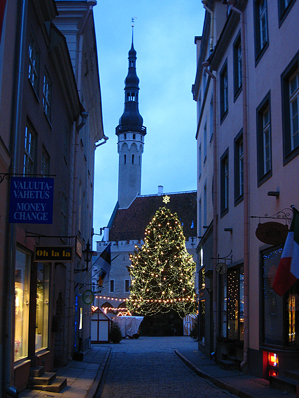 The townsquare brightly lit by a Christmas tree.