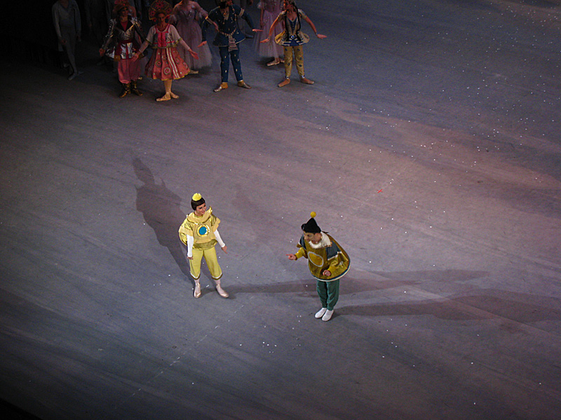 The amazing barrel roll leaping ballet dancer and his partner.